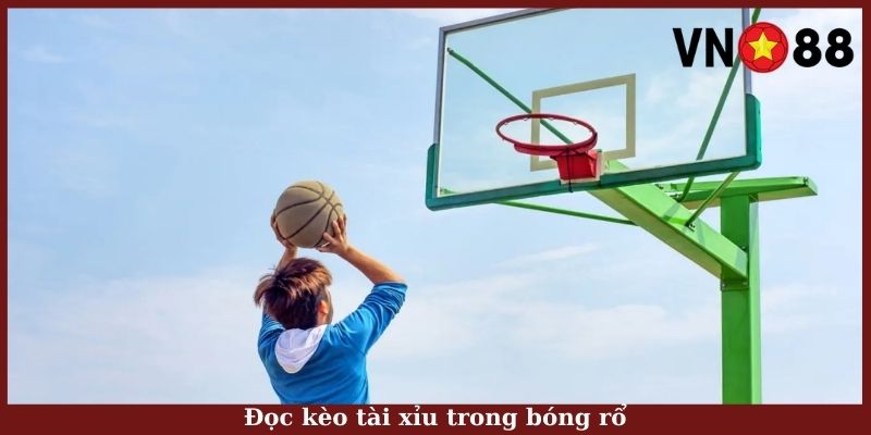 Đọc kèo tài xỉu trong bóng rổ